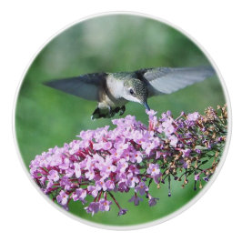 Pomo De Cerámica Hummingbird Foto de vida silvestre de vuelo floral