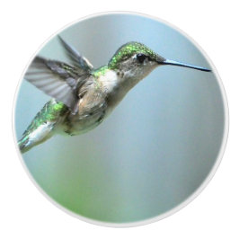 Pomo De Cerámica Hummingbird Green Flight Photo Willife