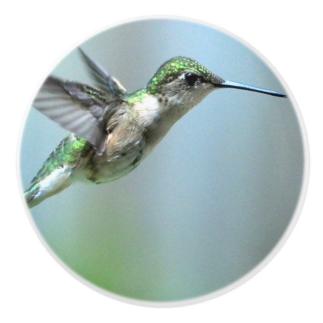 Pomo De Cerámica Hummingbird Green Flight Photo Willife (Anverso)