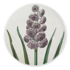 Pomo De Cerámica Hyacinth