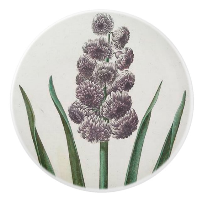 Pomo De Cerámica Hyacinth (Anverso)