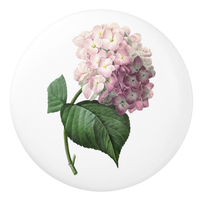 Pomo De Cerámica Hydrangea (Anverso)