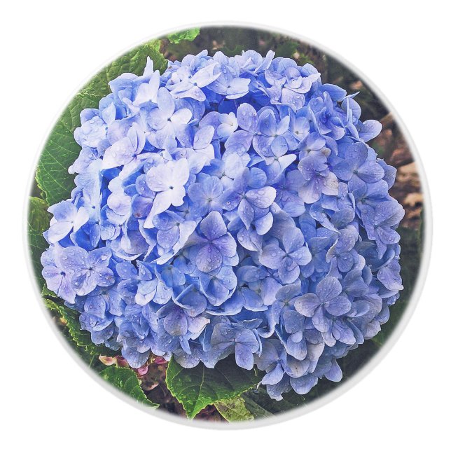 Pomo De Cerámica Hydrangea azul (Anverso)