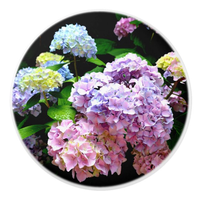 Pomo De Cerámica Hydrangea garden, rosa, azul, violeta floral (Anverso)