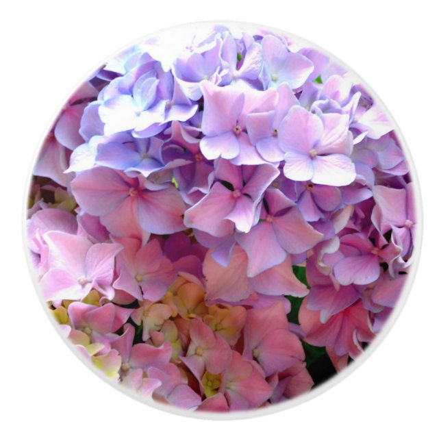 Pomo De Cerámica Hydrangea garden, rosa, azul, violeta floral (Anverso)