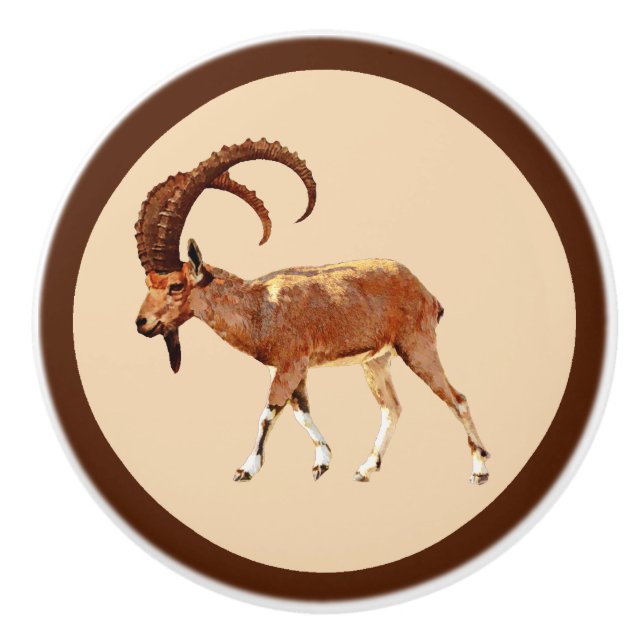 Pomo De Cerámica Ibex nubio - Ein Gedi (Anverso)