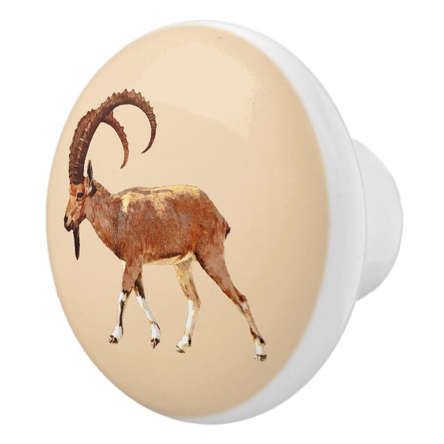 Pomo De Cerámica Ibex nubio - Ein Gedi (Derecha)