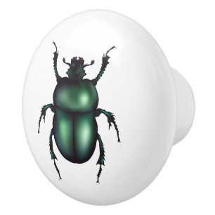 Pomo De Cerámica Insecto Divertido