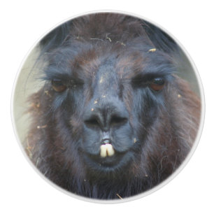 Pomo De Cerámica Intensa cara de llamada negra se cierra