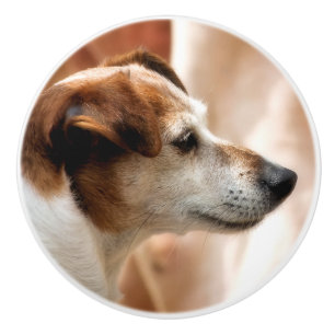 POMO DE CERÁMICA JACK RUSSELL TERRIER DOG