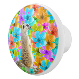 Pomo De Cerámica Jardín de juegos: Meerkat en medio de flores trico