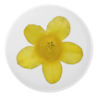 Pomo De Cerámica Jazmín Amarillo