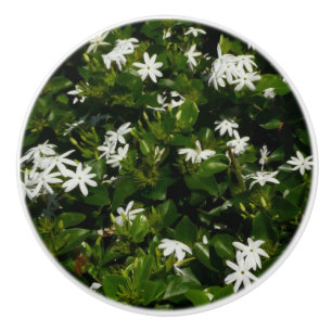Pomo De Cerámica Jazmín Flores Tropicales Florales Botánicas