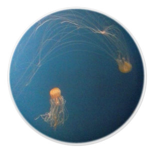 Pomo De Cerámica JellyFish Muebles de cerámica Tableros de gabinete