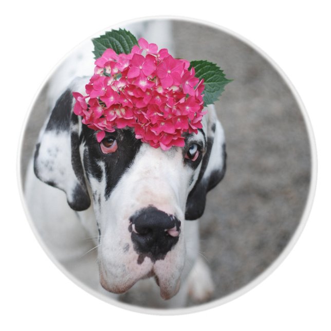 Pomo De Cerámica Knob con gran danés (Anverso)