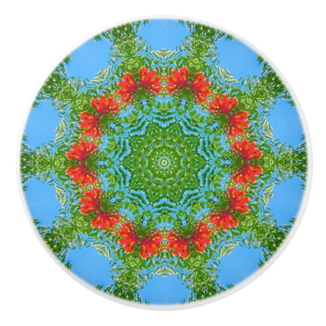 Pomo De Cerámica Knob de cerámica floral Kaleidoscope (Anverso)