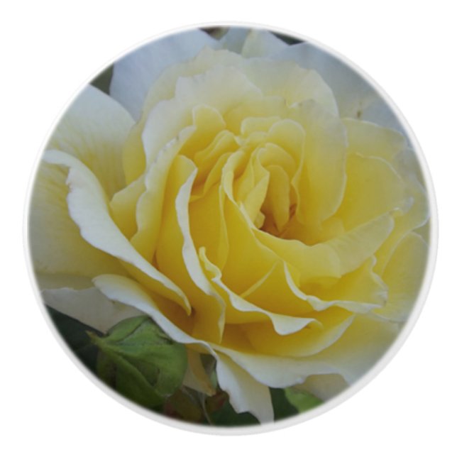 Pomo De Cerámica Knob de cerámica Personalizado de rosa blanca (Anverso)