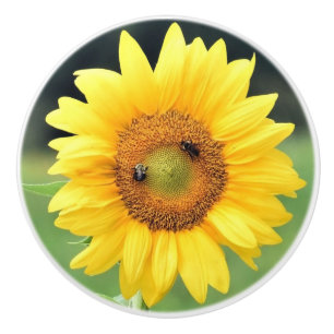 Pomo De Cerámica Knob feliz de cerámica de girasol