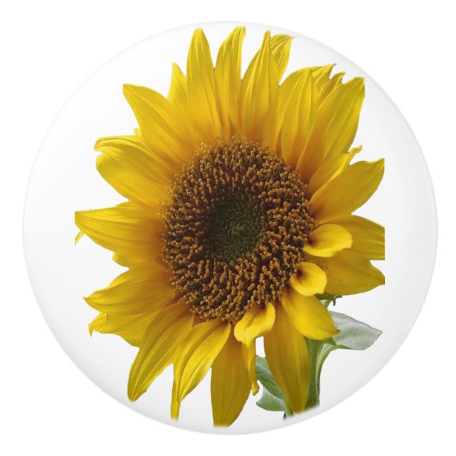Pomo De Cerámica Knob Sunflower (Anverso)