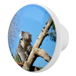 Pomo De Cerámica Koala Tiene El Significado De La Vida,