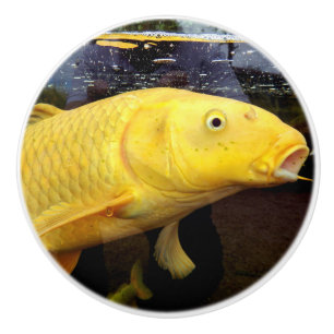 Pomo De Cerámica Koi Carp Ceramic Knob