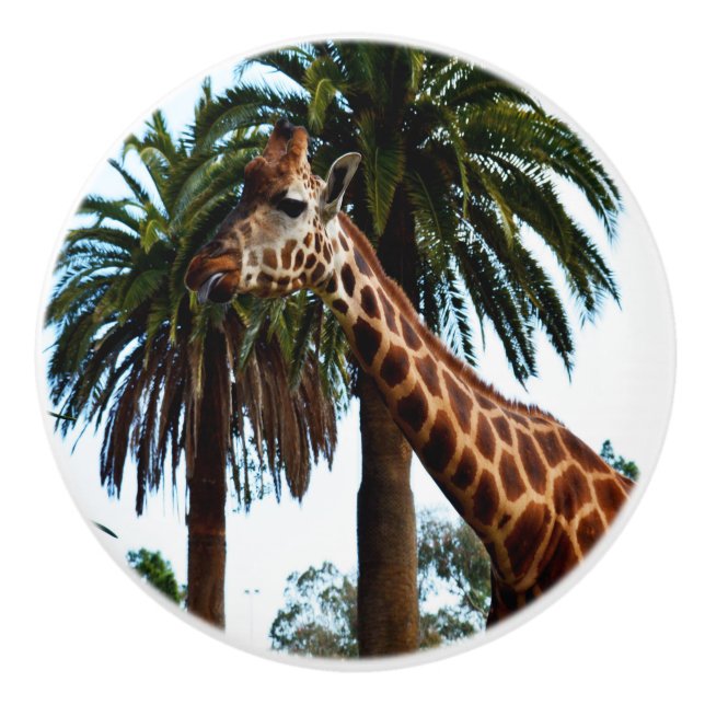 Pomo De Cerámica La Graciosa Giraffe Que Apunta La Lengua, (Anverso)