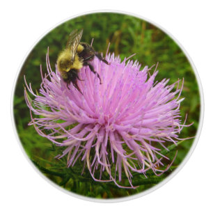 Pomo De Cerámica La naturaleza de la flor del cardo