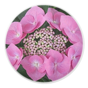 Pomo De Cerámica Lacecap Hydrangea Extracción cerámica