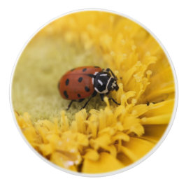 Pomo De Cerámica Ladybug