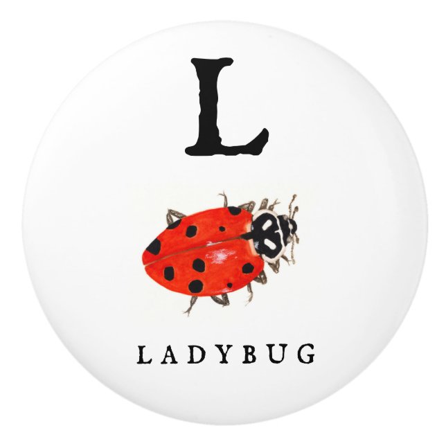 Pomo De Cerámica Ladybug (Anverso)