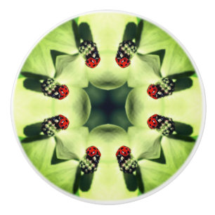 Pomo De Cerámica Ladybug En Dogwood Resumen Arte De Naturaleza