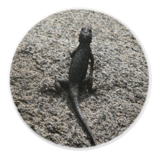 Pomo De Cerámica Lagarto Negro (Anverso)