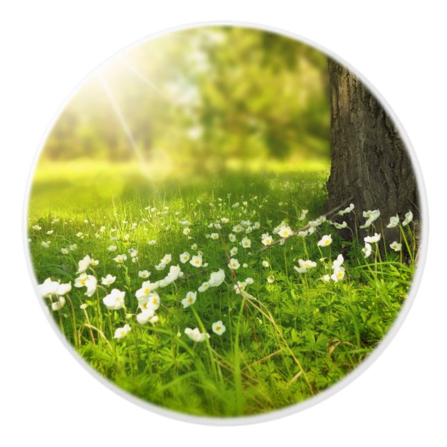 Pomo De Cerámica Las alegrías de la primavera (Anverso)