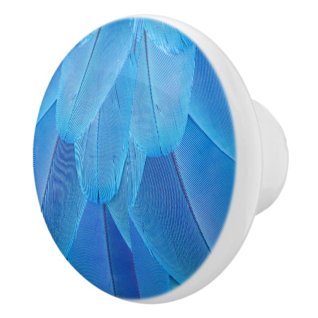 Pomo De Cerámica Las plumas azules verde azuladas del loro de Macao (Derecha)