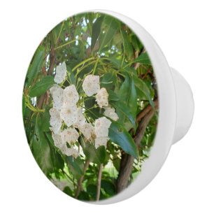 Pomo De Cerámica Laurel de Montaña Blanco Hojas Verdes