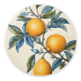 Pomo De Cerámica Lemon Grove del Mediterráneo