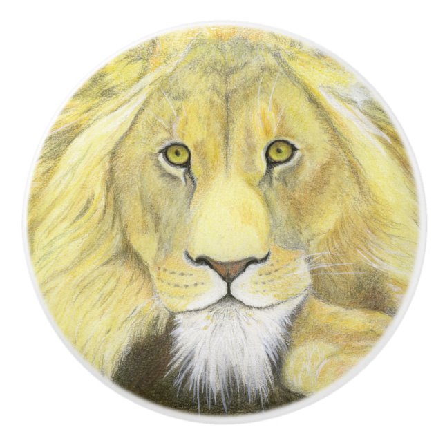 Pomo De Cerámica León (Anverso)