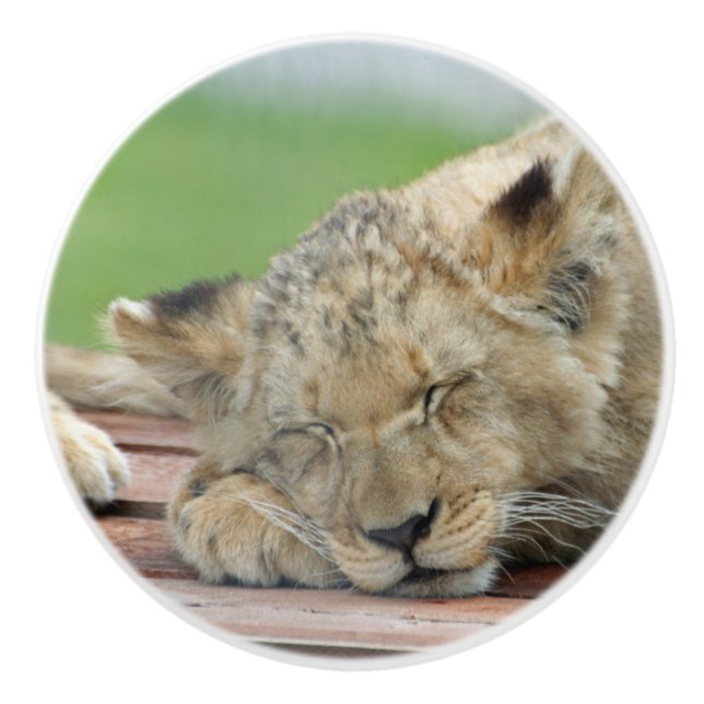 Pomo De Cerámica León 014 (Anverso)