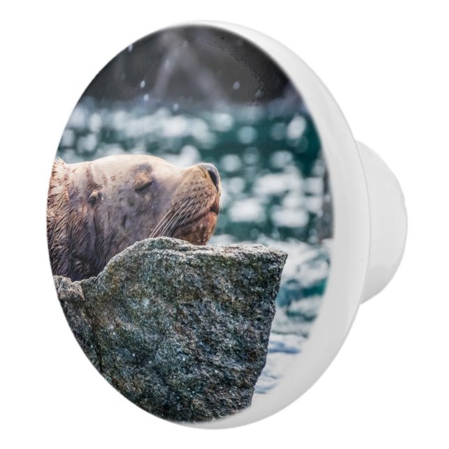 Pomo De Cerámica León Marítimo En La Bahía De Resurrección, Alaska (Derecha)