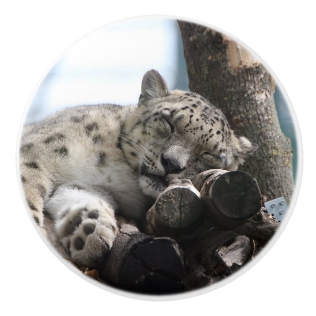 Pomo De Cerámica Leopard 002 (Anverso)