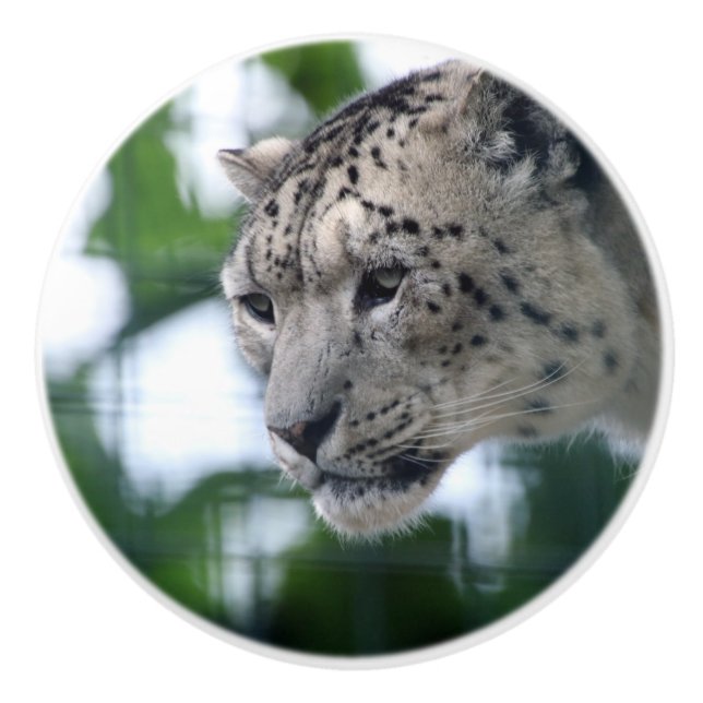 Pomo De Cerámica Leopard 003 (Anverso)