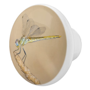 Pomo De Cerámica Libélula Skimmer Insecto Hembra (CC BY 4.0)