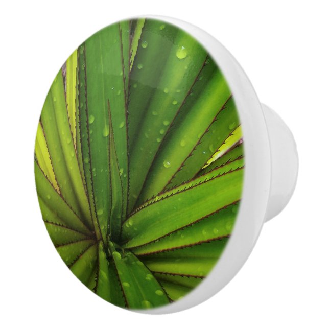 Pomo De Cerámica Lluvia matutina en el piñón de la muerte (Derecha)