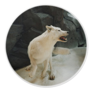 Pomo De Cerámica Lobo blanco