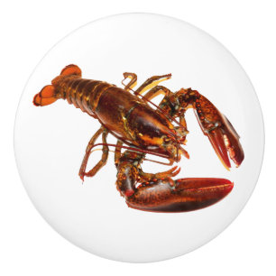 Pomo De Cerámica Lobster