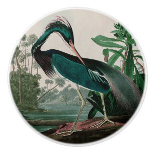 Pomo De Cerámica Louisiana Heron Birds of America Audubon Print