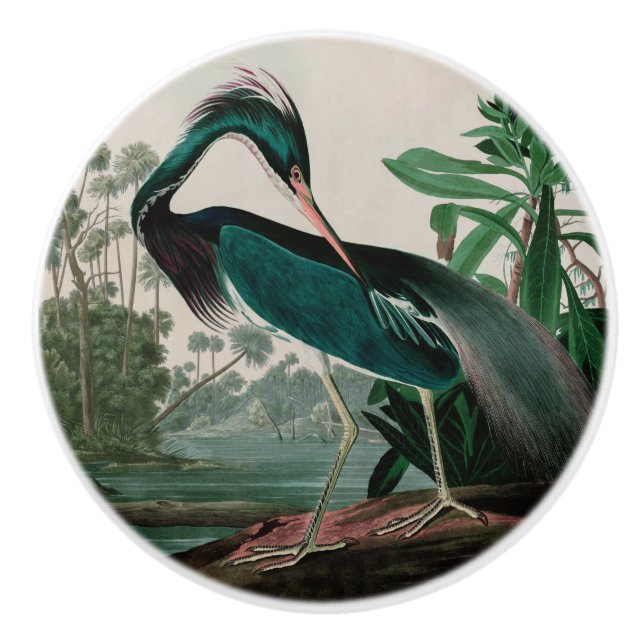 Pomo De Cerámica Louisiana Heron Birds of America Audubon Print (Anverso)