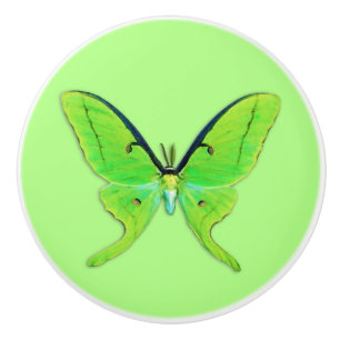 Pomo De Cerámica Luna polilla sobre un fondo verde pálido