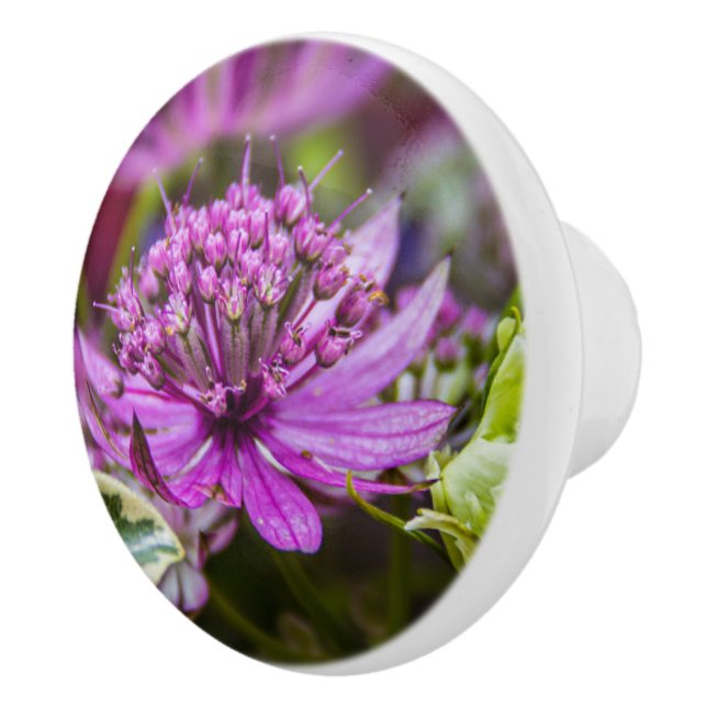 Pomo De Cerámica Magia exquisita de las flores #1 (Derecha)