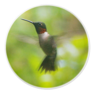 Pomo De Cerámica Male Ruby Throat Hummingbird